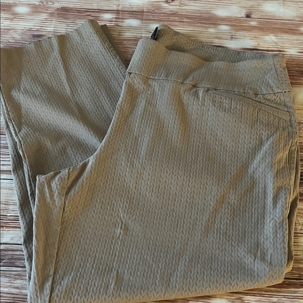 Attyre Women Pull on Dress Pants 22W